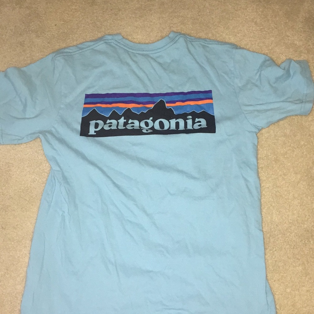 Patagonia tshirt